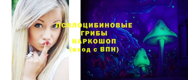 бутират Снежногорск