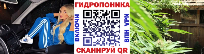 Купить где Северская Каннабис Bruce Banner